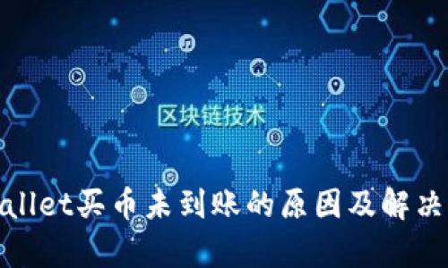 tpwallet买币未到账的原因及解决方案